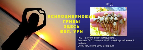 кокс Белокуриха