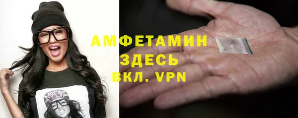 гидра Богданович