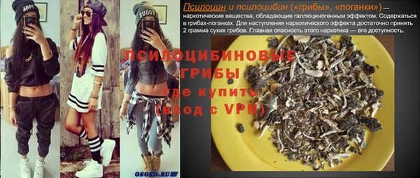 гидра Богданович