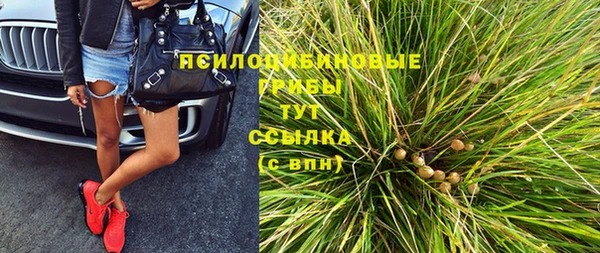 кокс Белокуриха