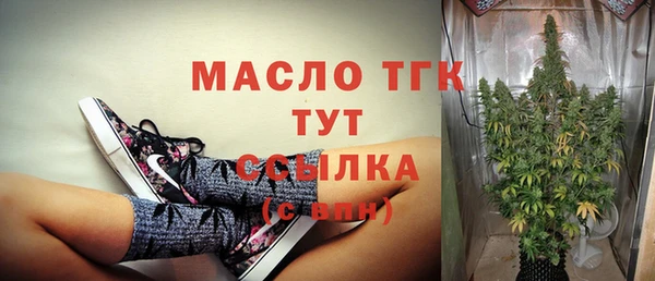 гидра Богданович