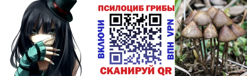 Псилоцибиновые грибы Psilocybine cubensis  где купить наркоту  Сердобск 