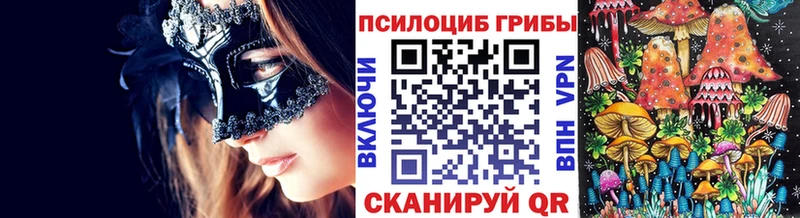 Псилоцибиновые грибы Psilocybe Сердобск