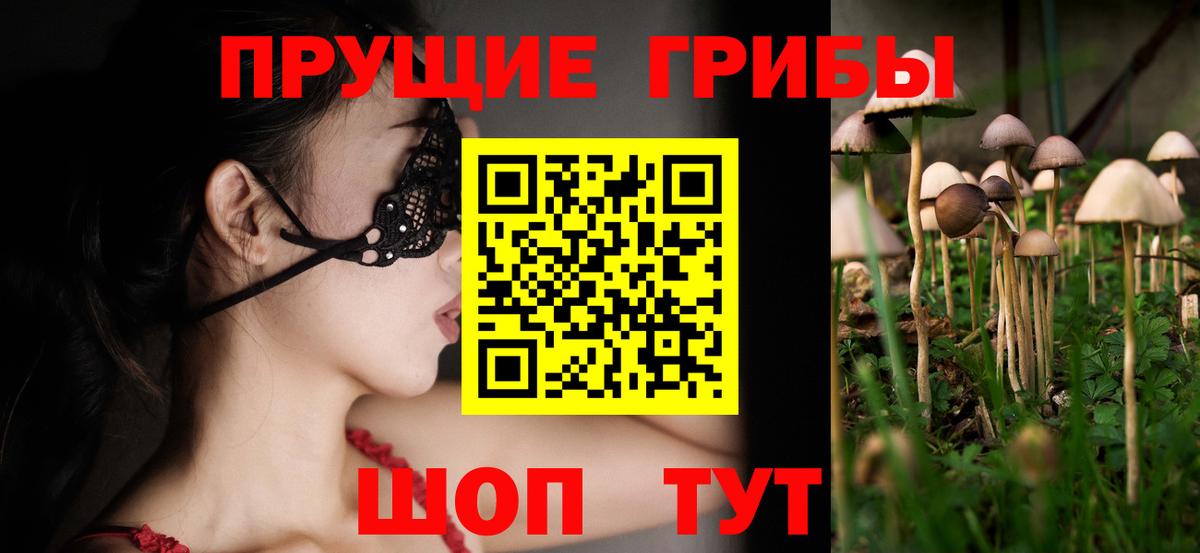 Псилоцибиновые грибы Psilocybine cubensis Сердобск